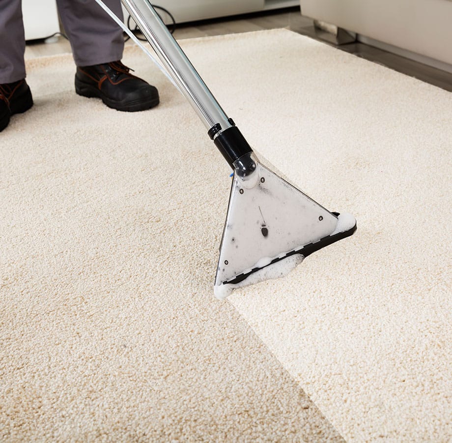 Technician Cleaning Carpet